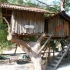 TURKMEN TREE HOUSES