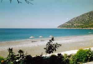 VİLLA OLIVIA GARDEN