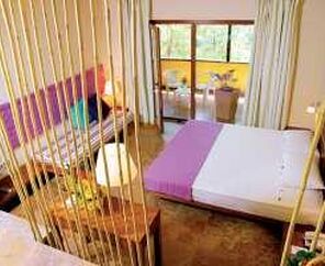 MAGIC LIFE SARIGERME