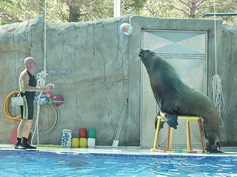 TURKiZ MARİNA KEMER