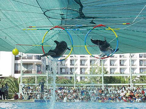 TURKiZ MARİNA KEMER