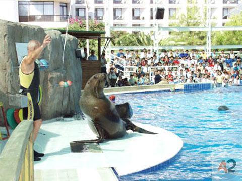 TURKiZ MARİNA KEMER