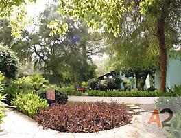 MAJESTY HOTEL CLUB KEMER BEACH