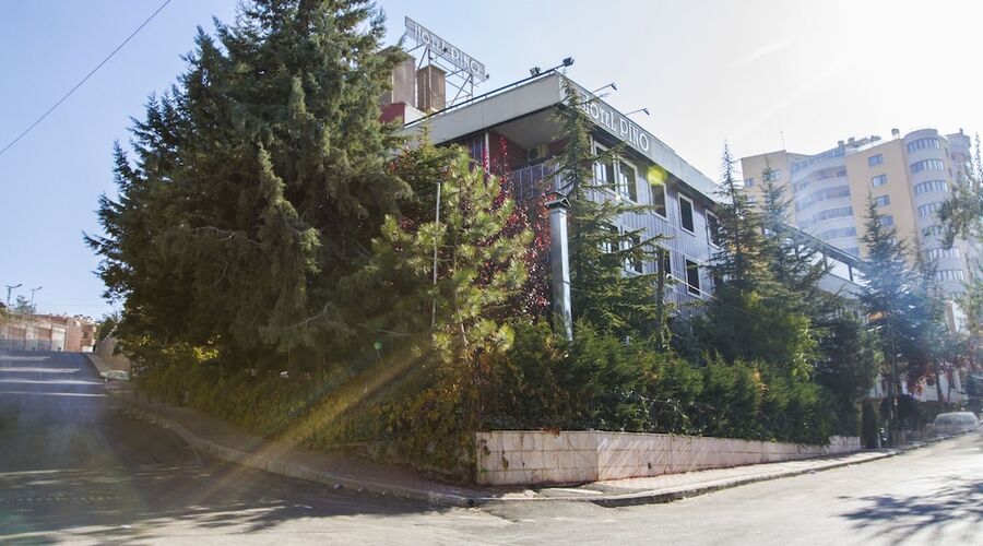 Ankara Hotel Pino