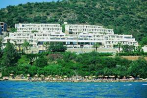 Melia Colbert Boutique