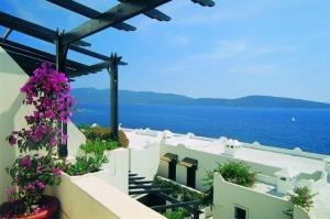 Melia Colbert Boutique