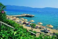 Melia Colbert Boutique