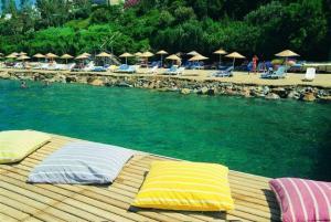 Melia Colbert Boutique