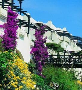 Melia Colbert Boutique