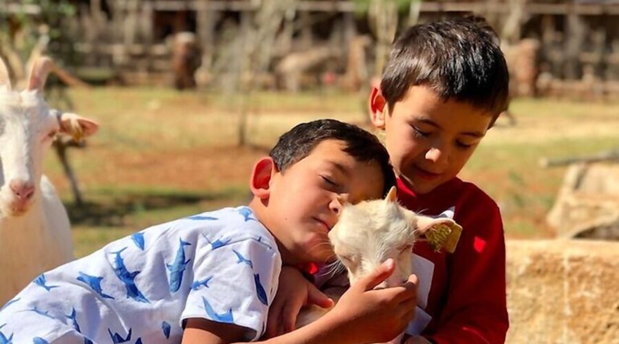 Yenice Vadi Dogal Yasam Koyu