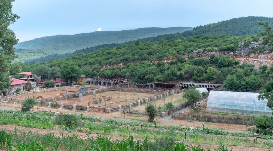 Yenice Vadi Dogal Yasam Koyu