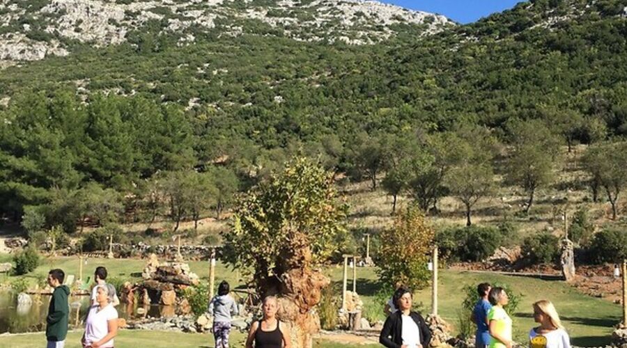 Yenice Vadi Dogal Yasam Koyu