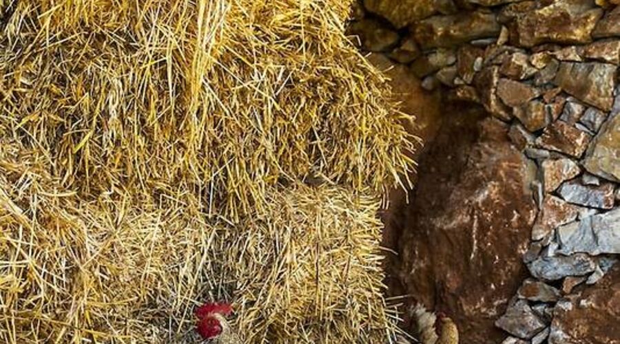 Yenice Vadi Dogal Yasam Koyu