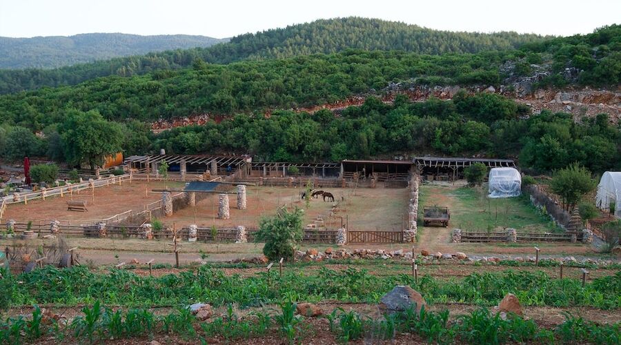 Yenice Vadi Dogal Yasam Koyu