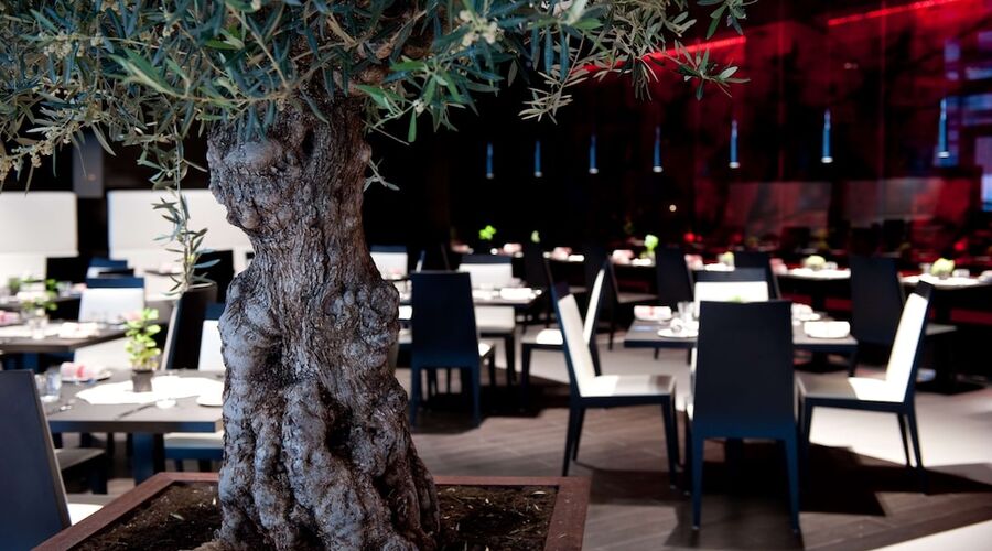 Fison Tur Eğitim Oteli