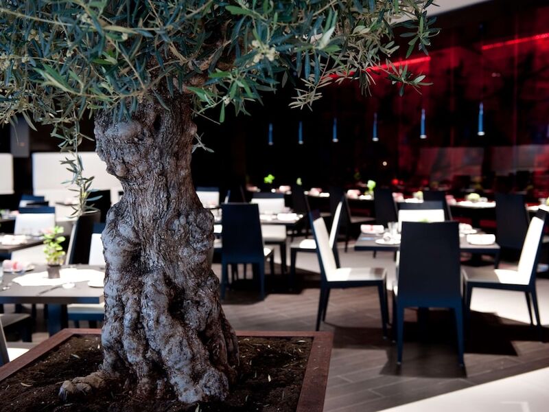 Fison Tur Eğitim Oteli