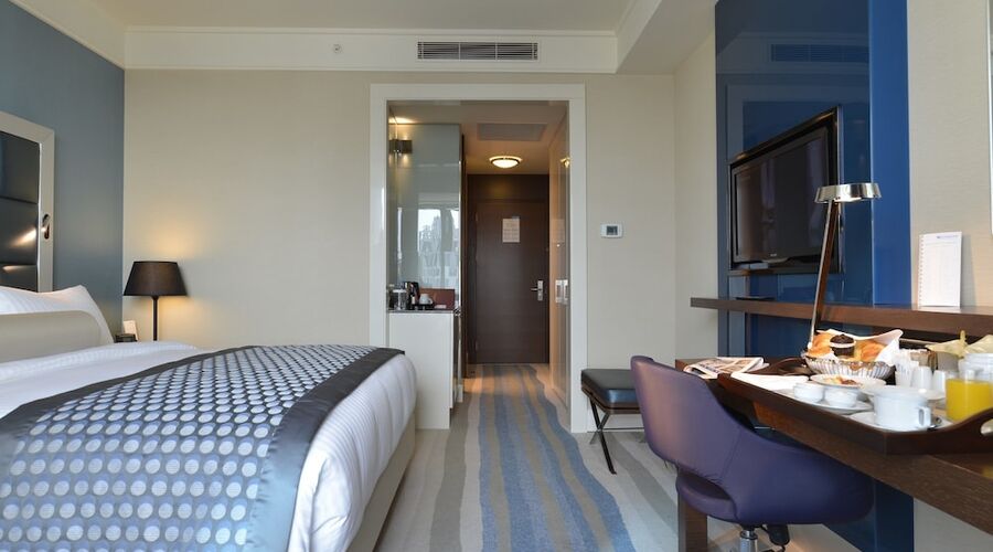 Wyndham Grand Istanbul Europe