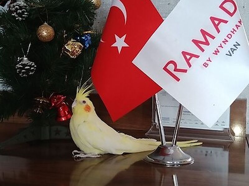 Ramada by Wyndham Van