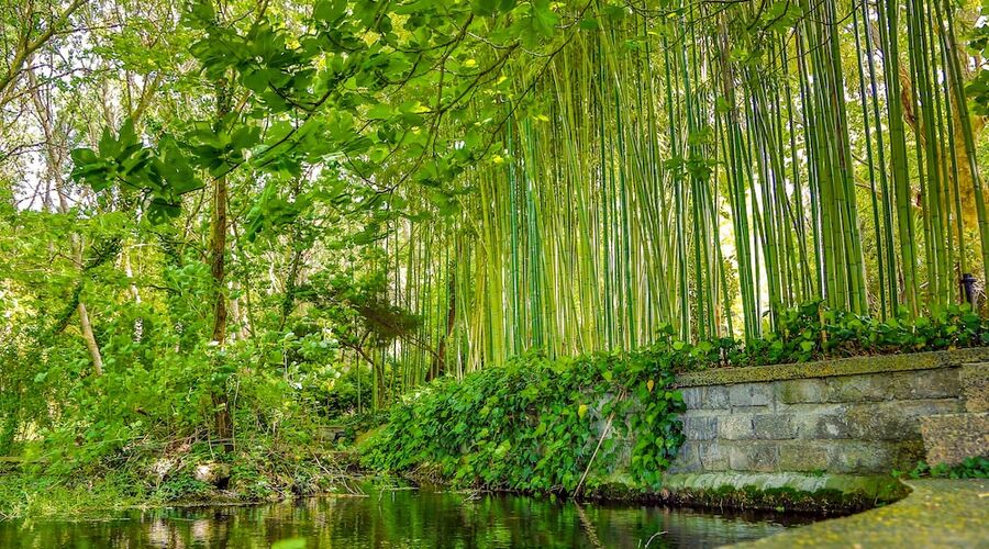 İstanbul Airport Durusu Club Hotel