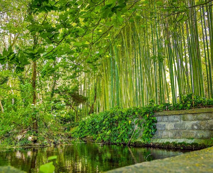 İstanbul Airport Durusu Club Hotel