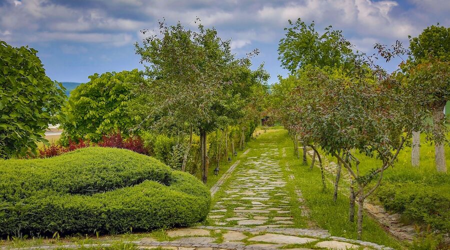 İstanbul Airport Durusu Club Hotel