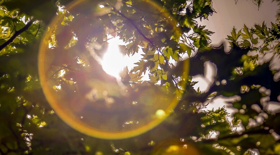 İstanbul Airport Durusu Club Hotel