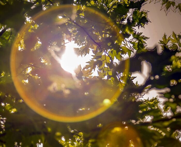 İstanbul Airport Durusu Club Hotel