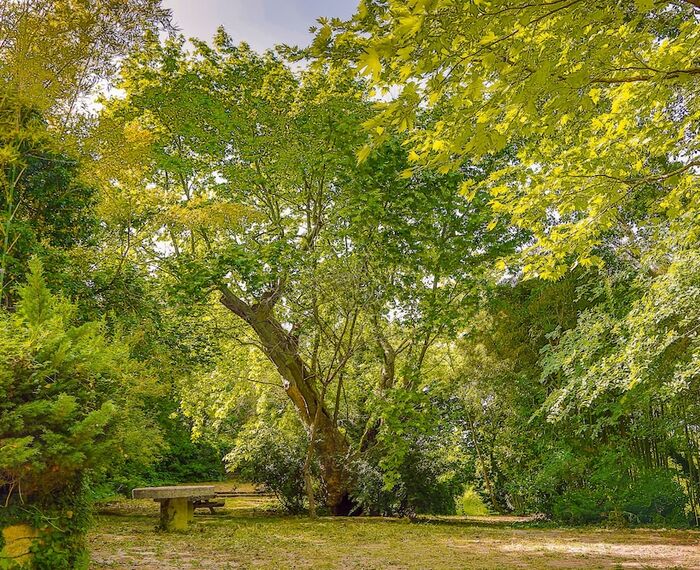 İstanbul Airport Durusu Club Hotel