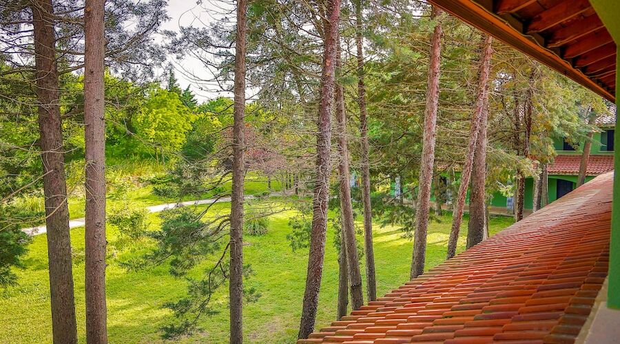 İstanbul Airport Durusu Club Hotel