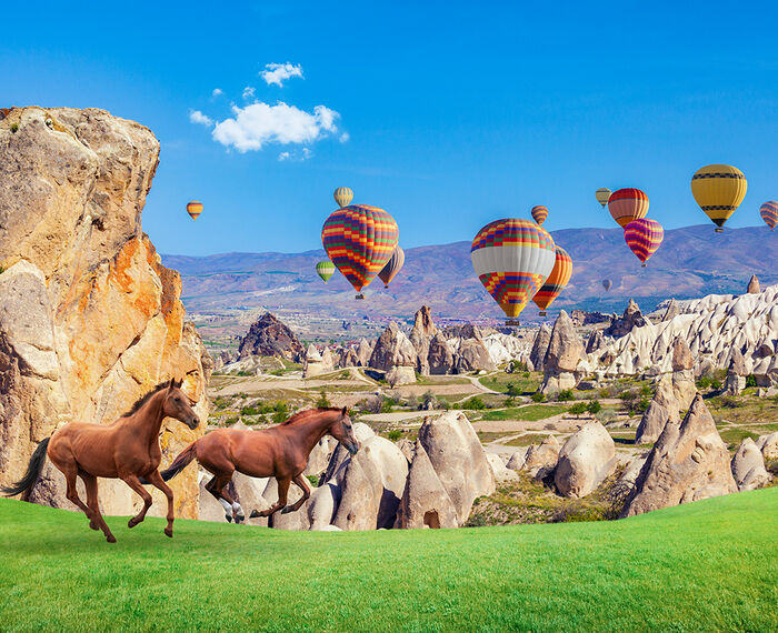 Roomtr Eğitim oteli 2025