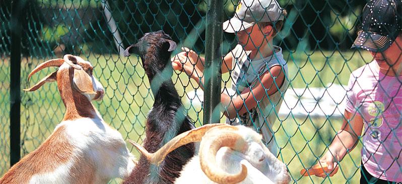 MAJESTY CLUB TUANA PARK