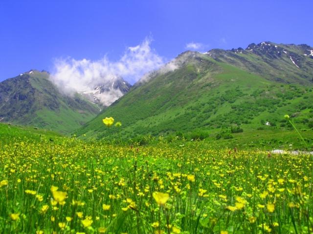 Klasik Karadeniz Turu